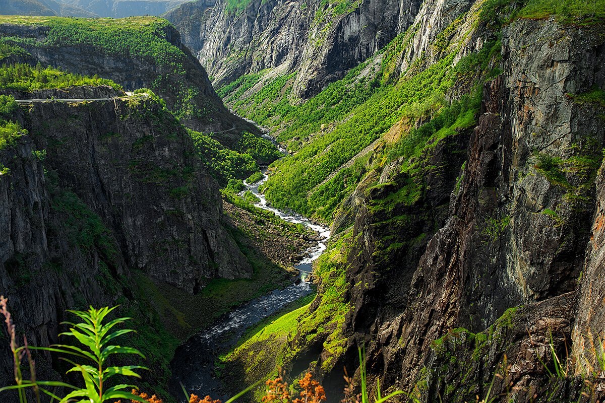 Norway 8 - Arturs Ancans