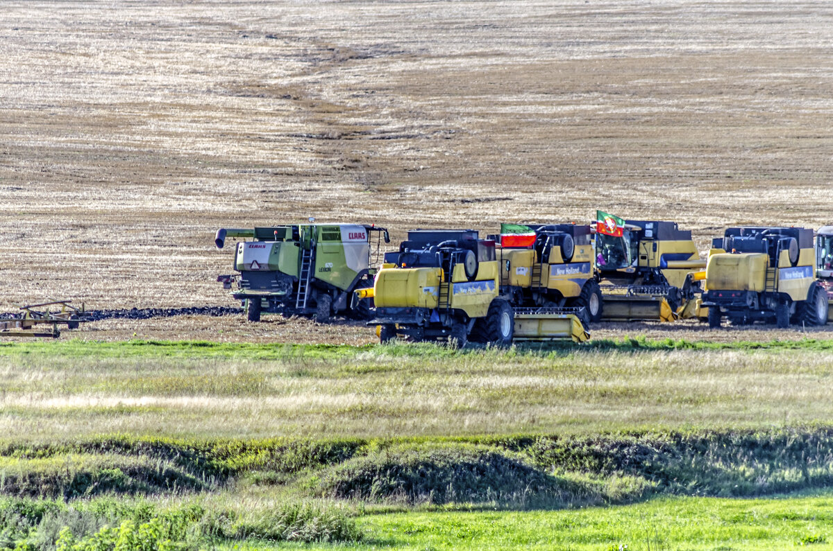 Стан - Андрей Щетинин Стан - Андрей Щетинин