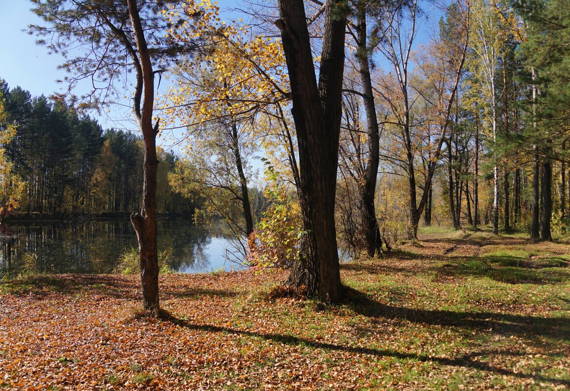 Прогулка - Наталия Григорьева