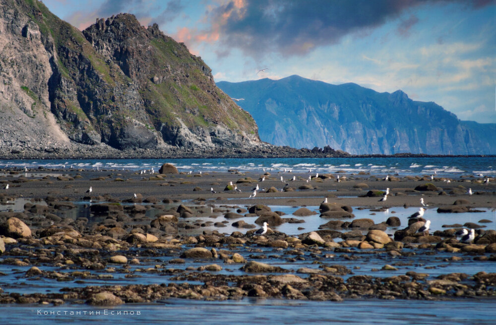 /// - Константин Есипов