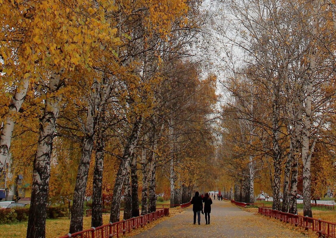 Осень - Венера Чуйкова Осень - Венера Чуйкова