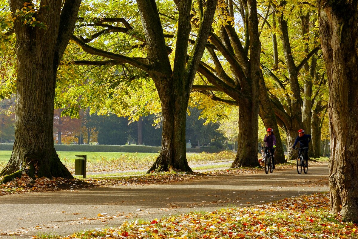 Осенние прогулки - Юрий. Шмаков