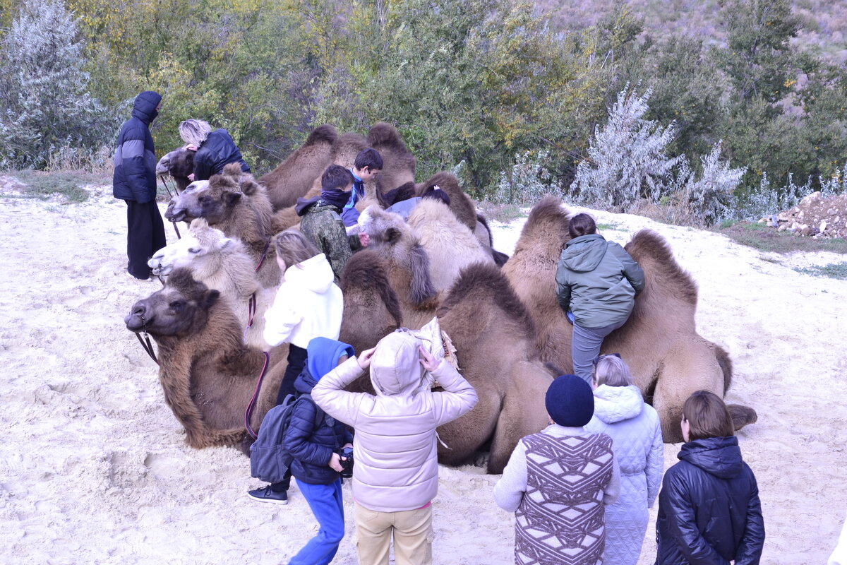 Где мой. - Виктор Где мой. - Виктор
