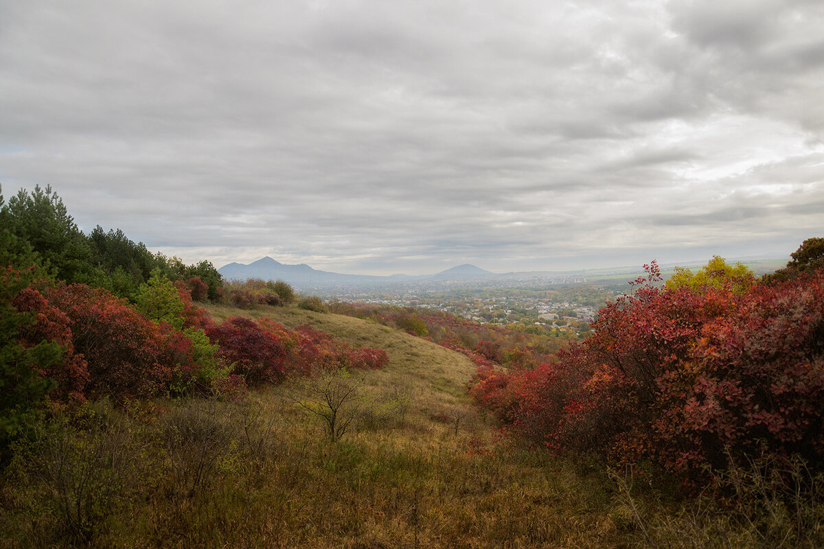 *** - Геннадий Чеботарев