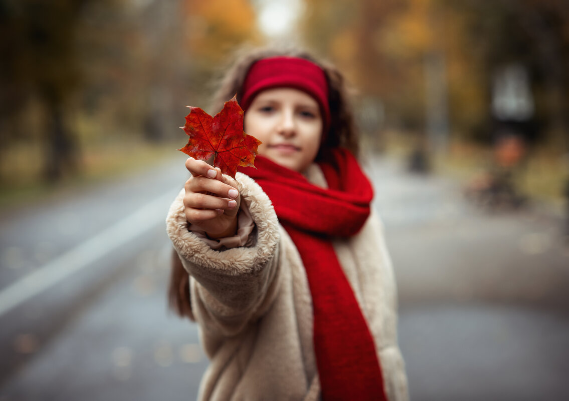 Цвет бордово-красный - Лилия .