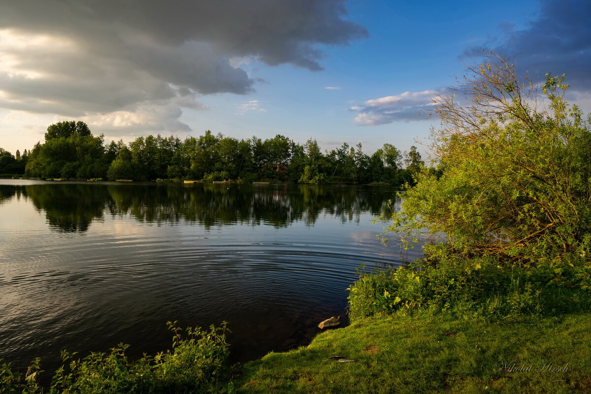 Пейзаж с кустом... - Николай Гирш Пейзаж с кустом... - Николай Гирш