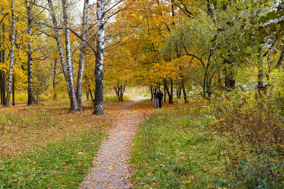 Прогулка в октябре - Александр Синдерёв Прогулка в октябре - Александр Синдерёв