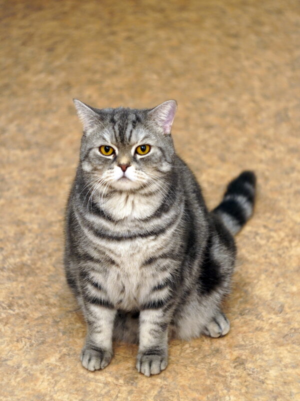 Матроскин - Павел Трунцев Матроскин - Павел Трунцев