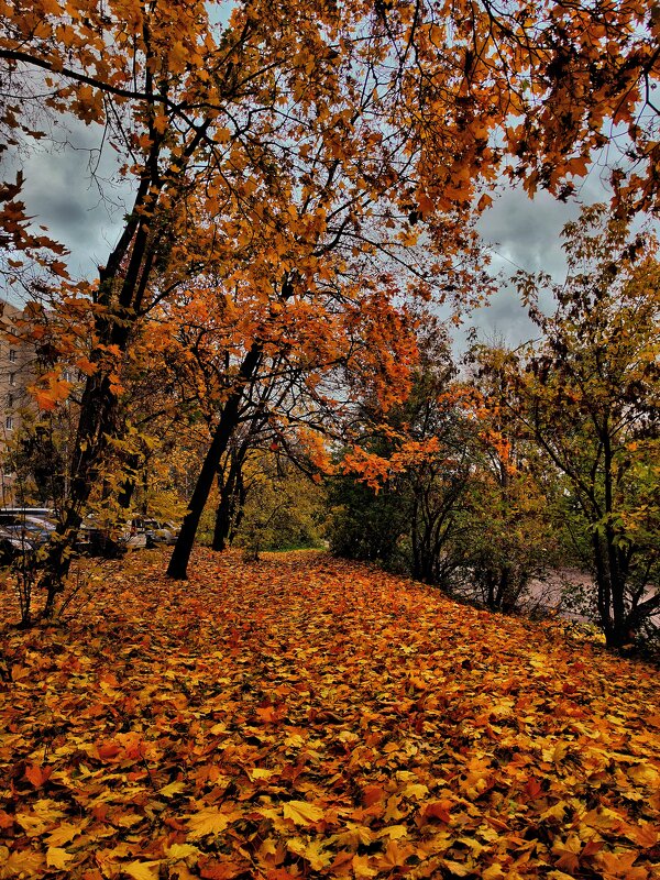 ***** - Алексей Архипов