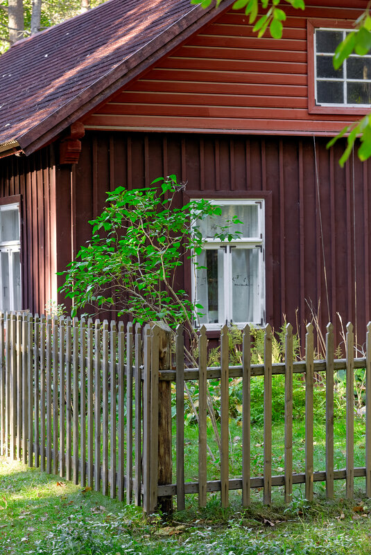 Tallinn, Fotograaf Arkadi Baranov, FEP, Estonia - Аркадий  Баранов Arkadi Baranov