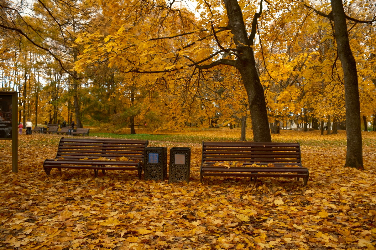 Коломенское. Последний день Бабьего лета. - Лютый Дровосек