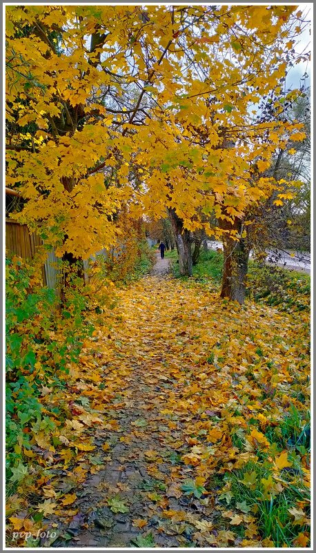 Листопад, день второй. - Владимир Попов