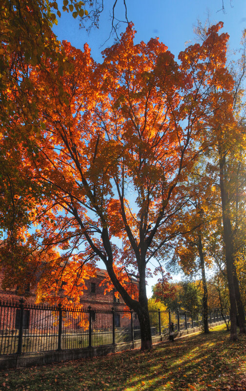 *** - Сергей Григорьев