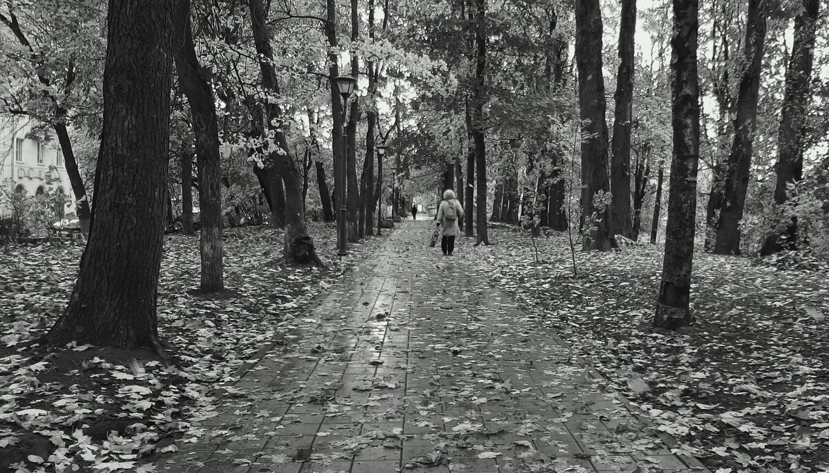 Шлиссельбург. Октябрь - Наталья Герасимова