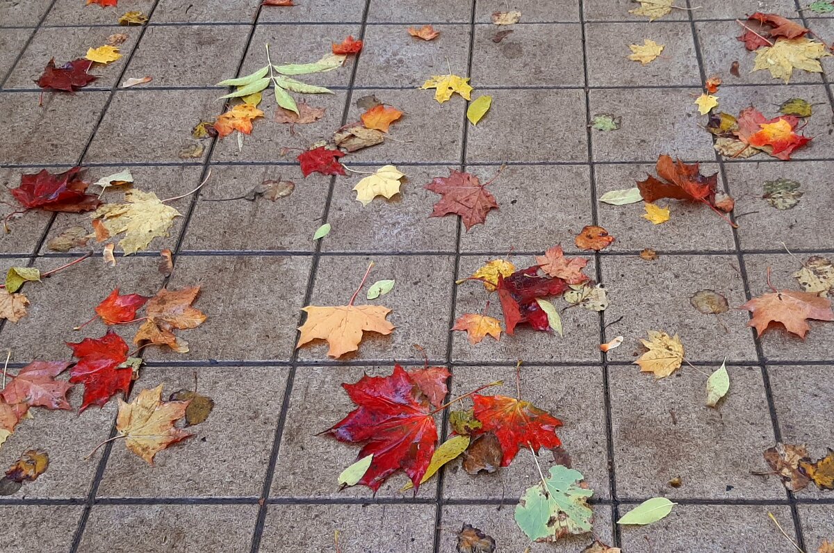 *** - Наталья Герасимова