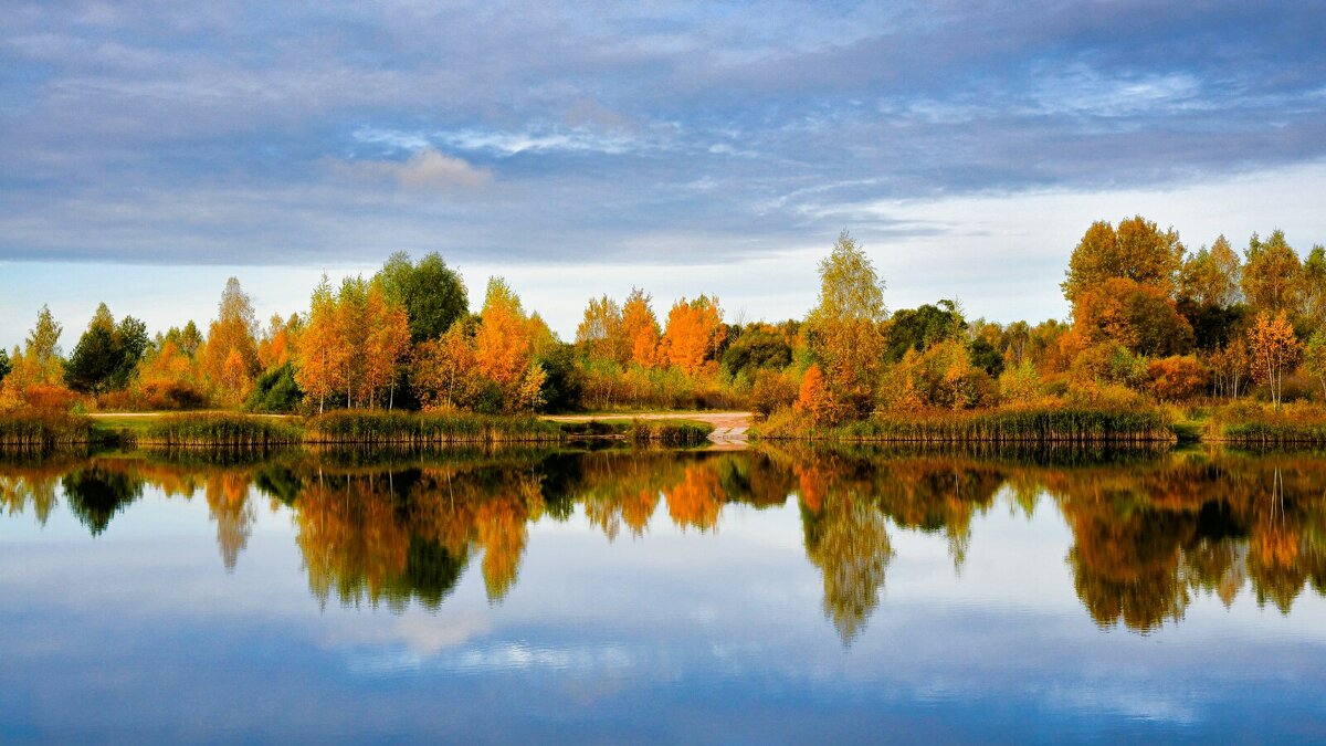 Золотая осень Смоленщины. - Милешкин Владимир Алексеевич 