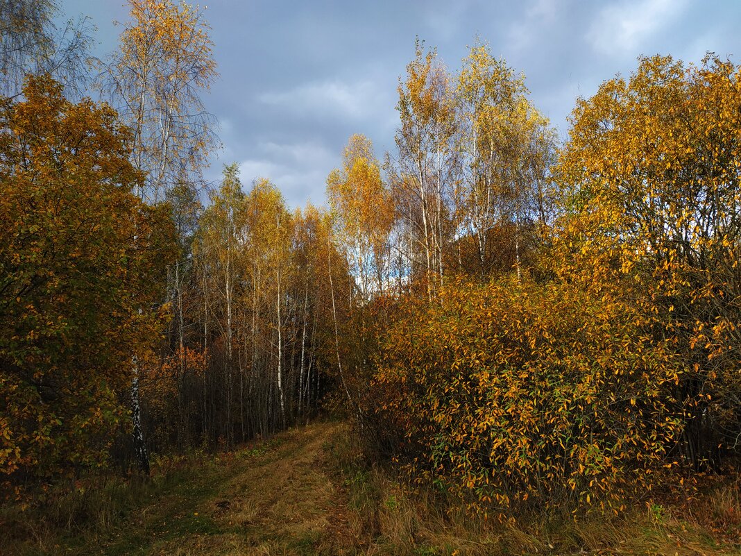 Зрелая осень - Андрей Лукьянов Зрелая осень - Андрей Лукьянов