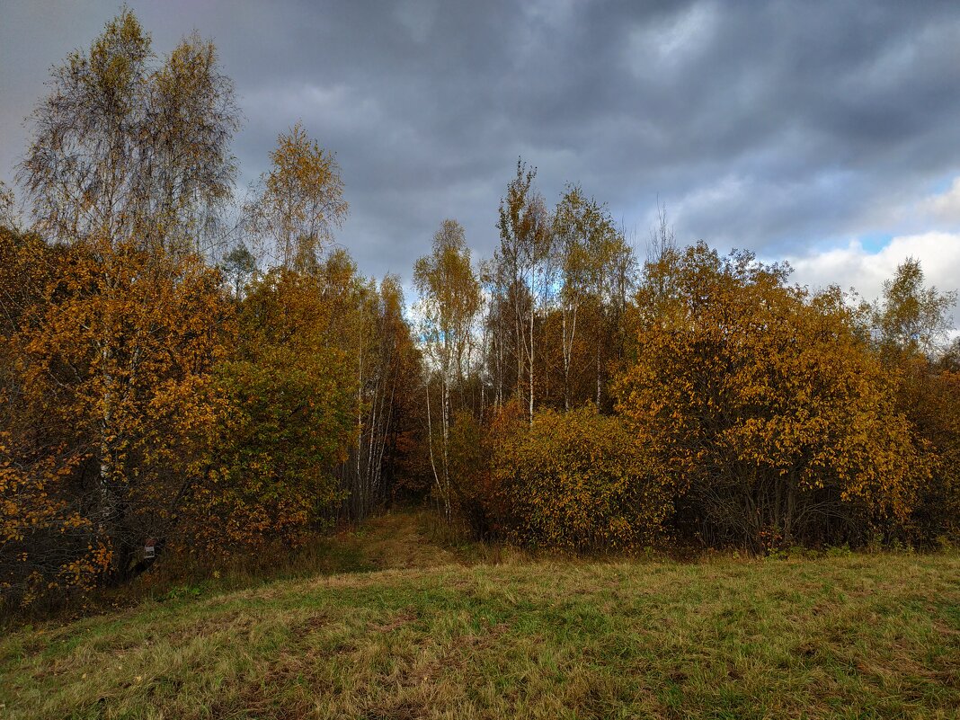 Зрелая осень - Андрей Лукьянов