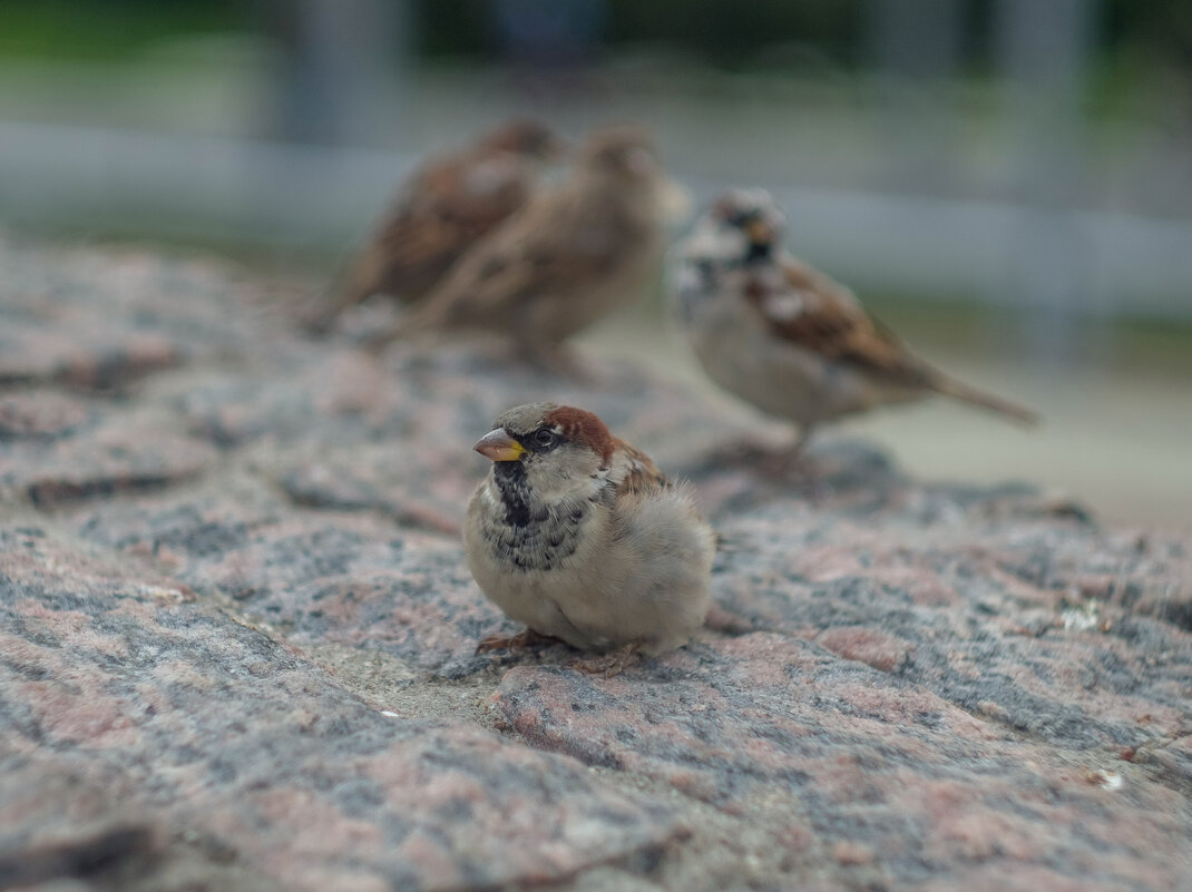 ___ - Yuriy V ___ - Yuriy V