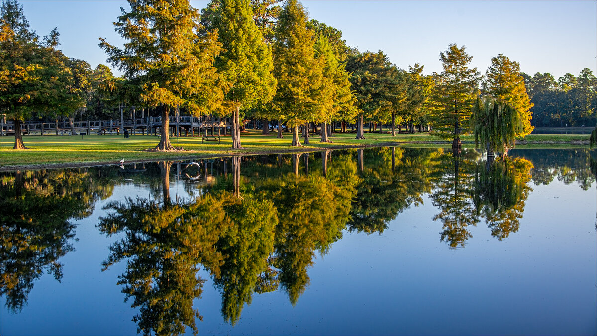 Парк Берроуз - **** vedin