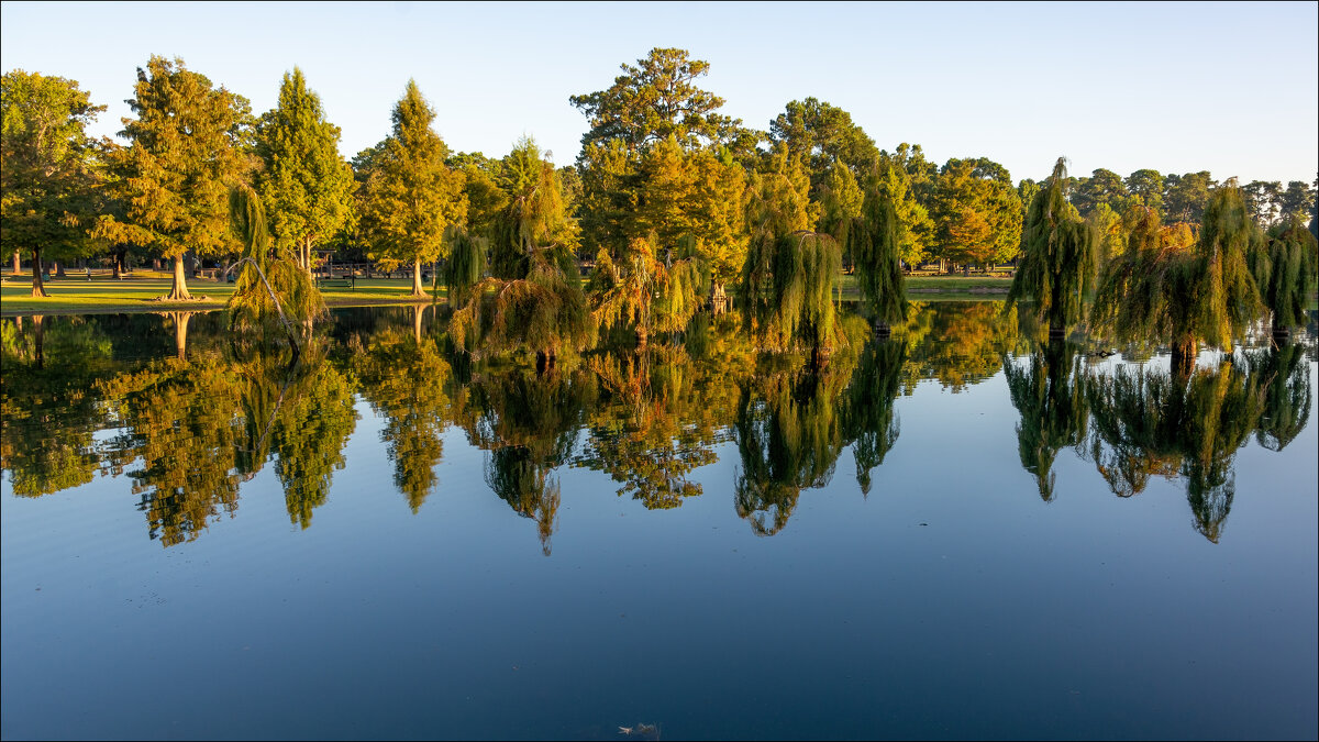 Парк Берроуз - **** vedin Парк Берроуз - **** vedin