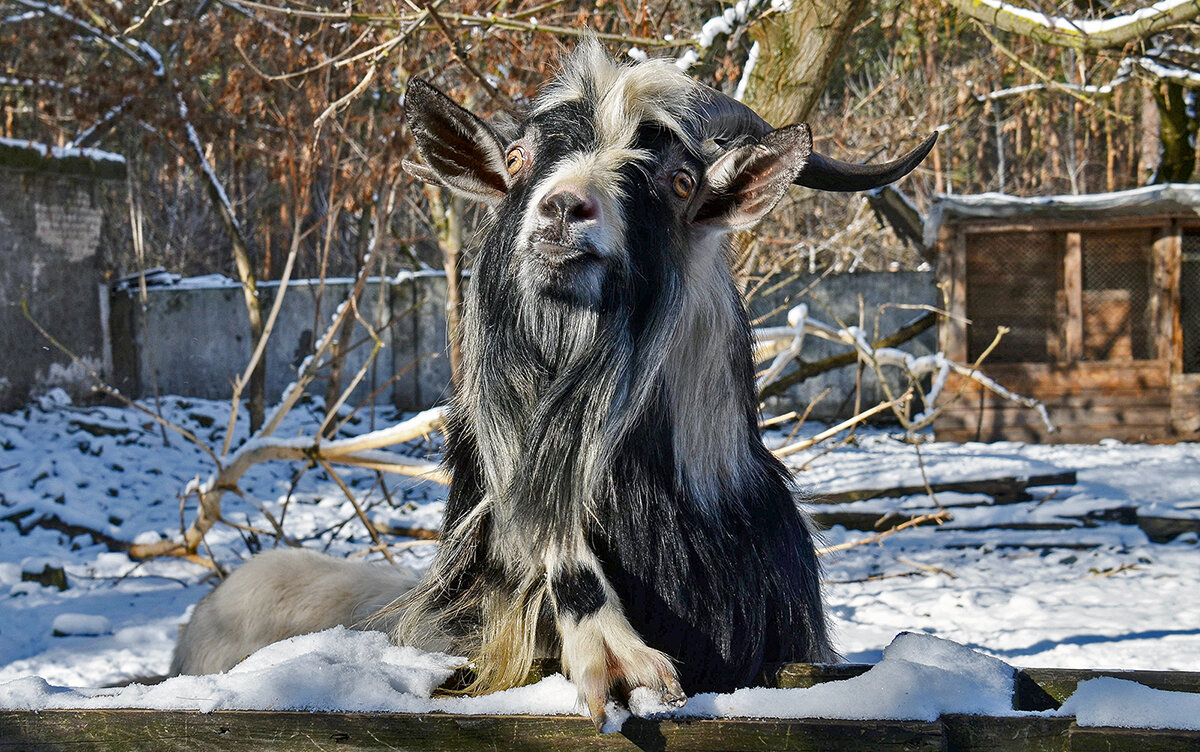 Забери меня с собой - Alexandеr P
