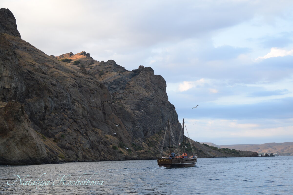 Природа Крыма - Amazing Cosmea