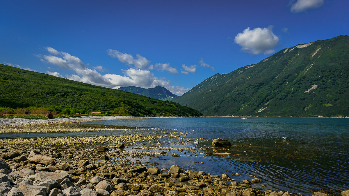 ... - Жора Житников