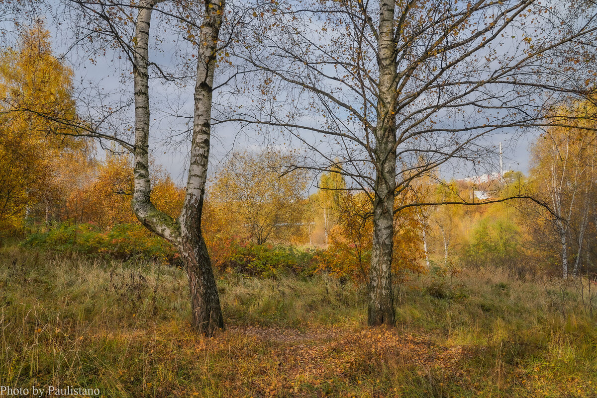 Палитра октября... - Владимир Жданов