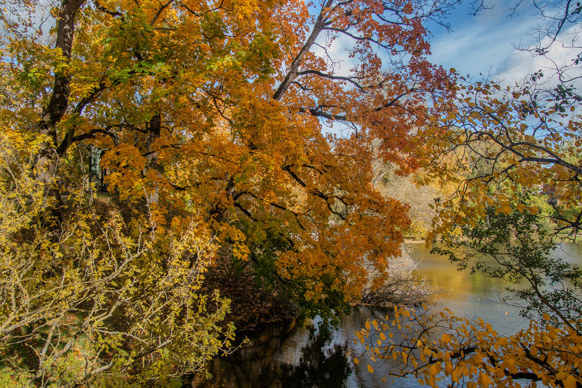 *** - Геннадий Порохов