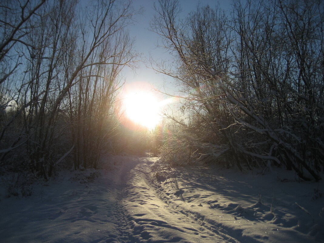 Зима - Anna Ivanova