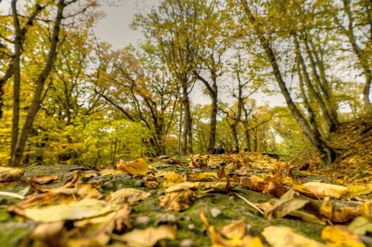 Осенние тропинки Железноводска - Игорь Осенние тропинки Железноводска - Игорь