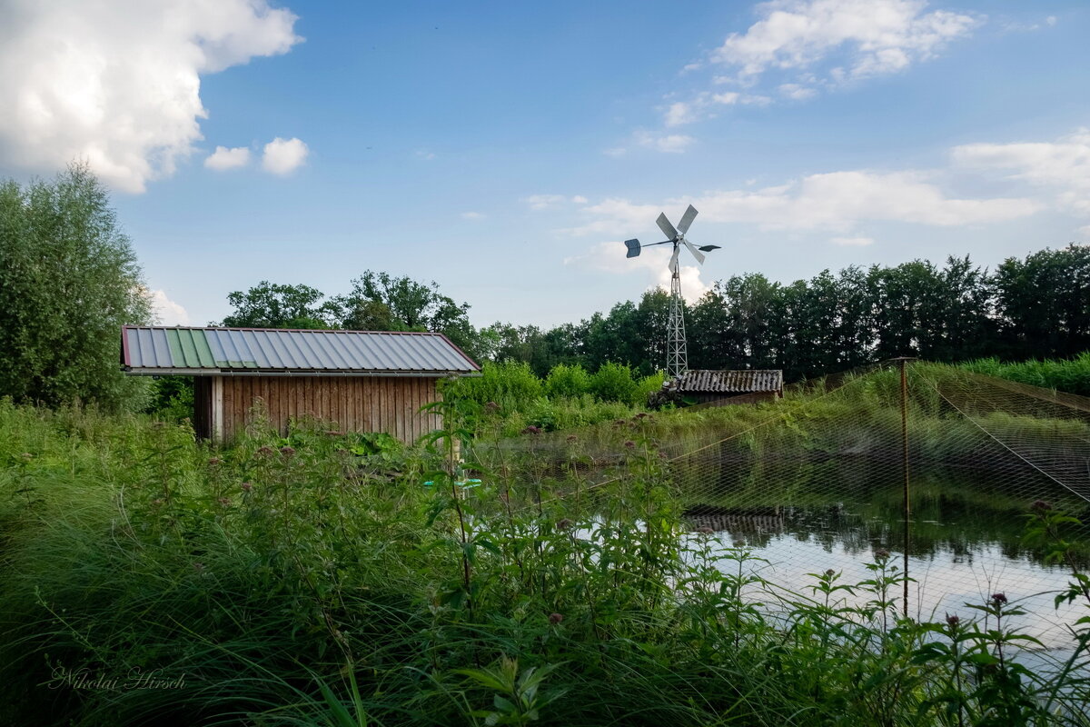 *** - Николай Гирш