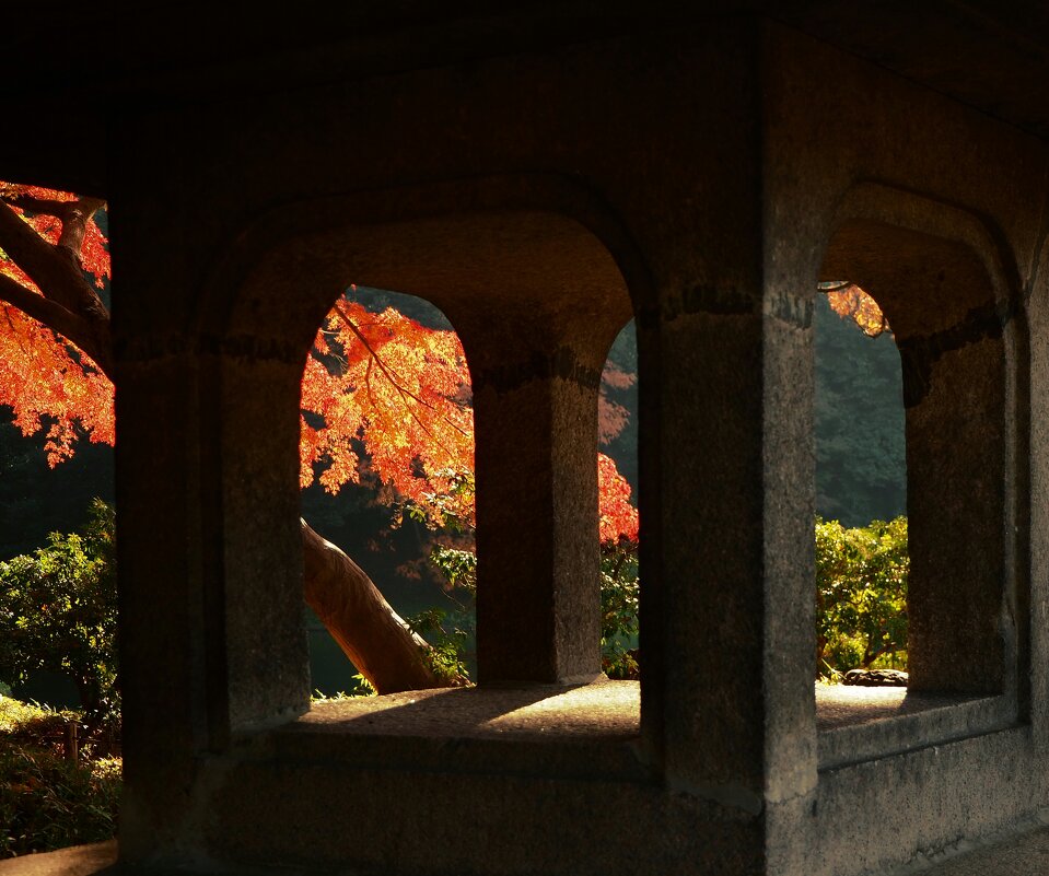 Осенние прогулки по Tокио - Civetta ***