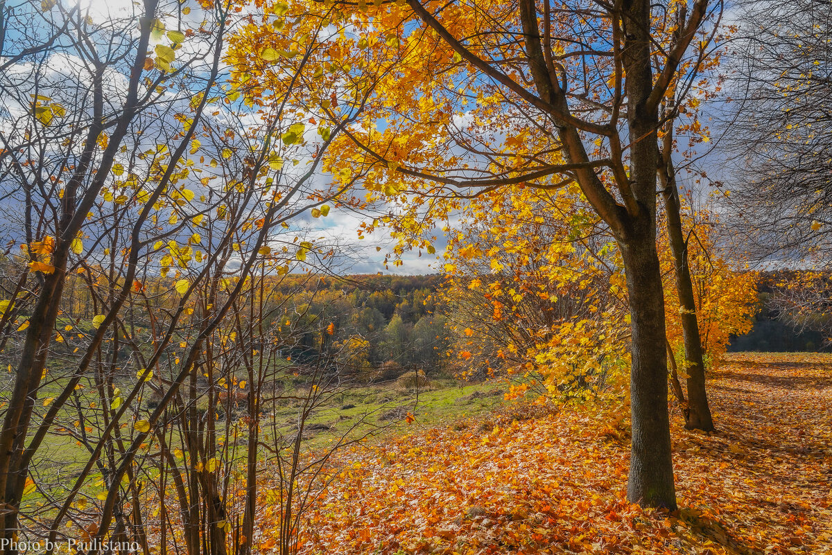 Октябрь в Царицыно... - Владимир Жданов Октябрь в Царицыно... - Владимир Жданов
