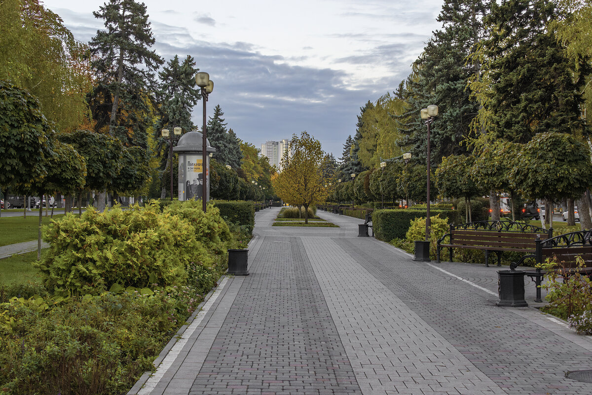 Сквер на Красной (г.Краснодар) - Игорь Протасов Сквер на Красной (г.Краснодар) - Игорь Протасов