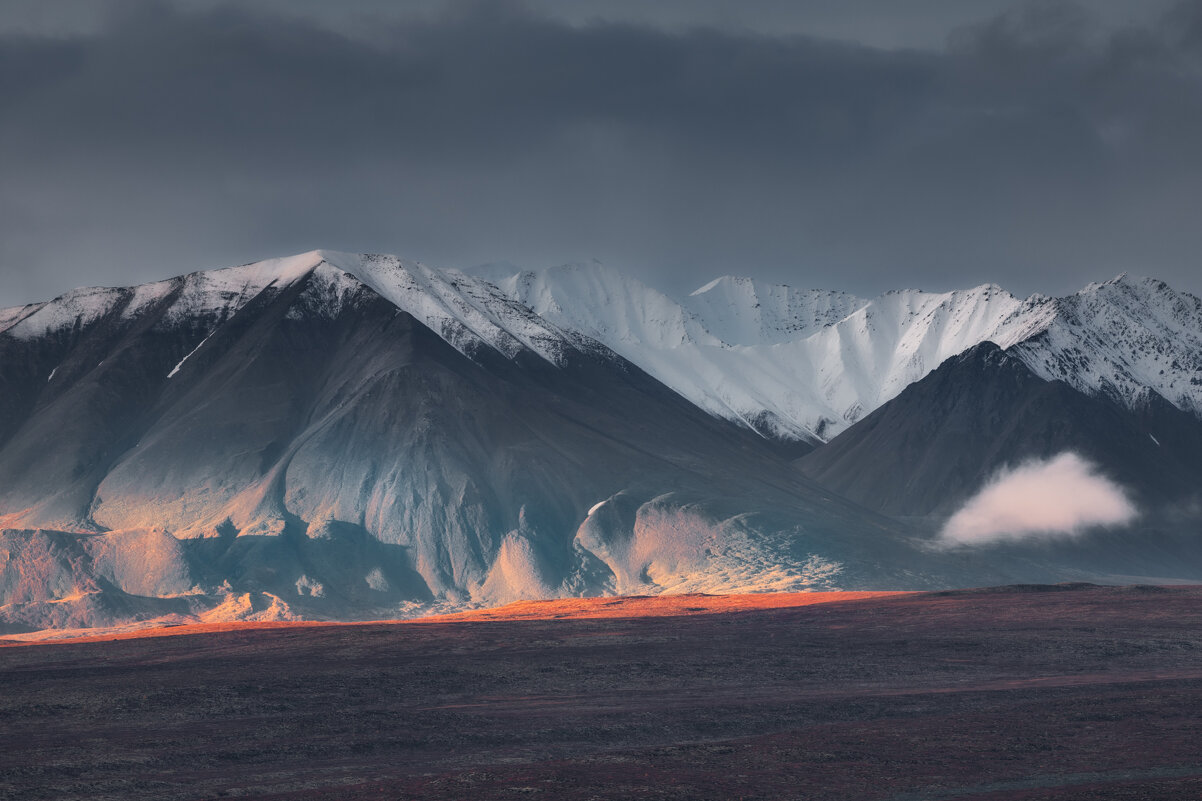 Облако, заблудившееся в горах - Дмитрий Шишкин