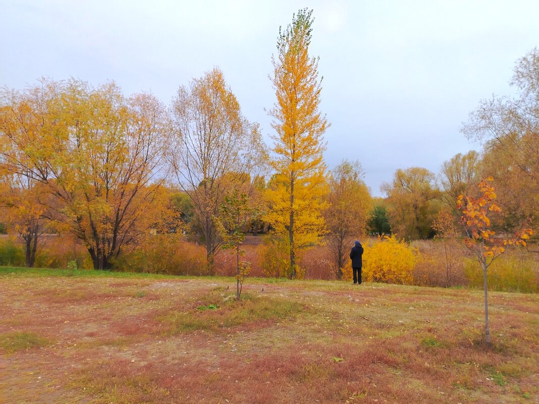 Осень в Самаре - Надежда 