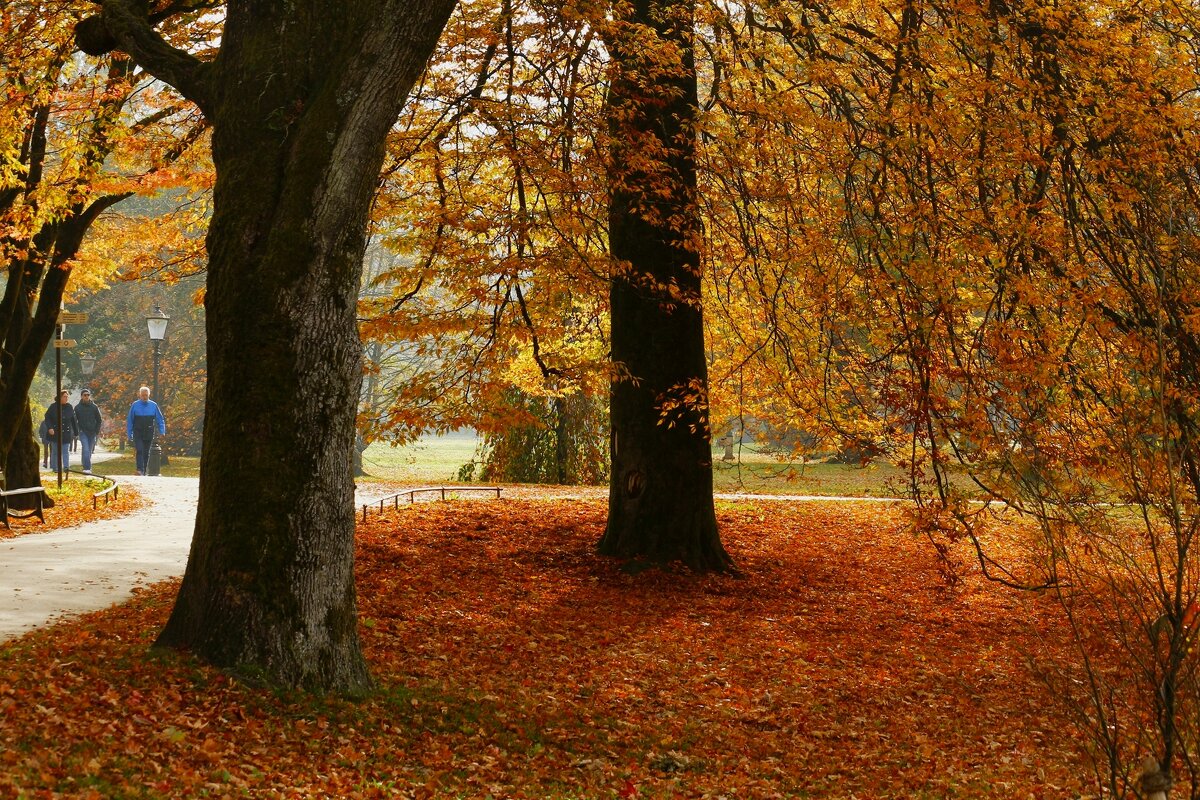 Лихтенталер аллее - Юрий. Шмаков Лихтенталер аллее - Юрий. Шмаков