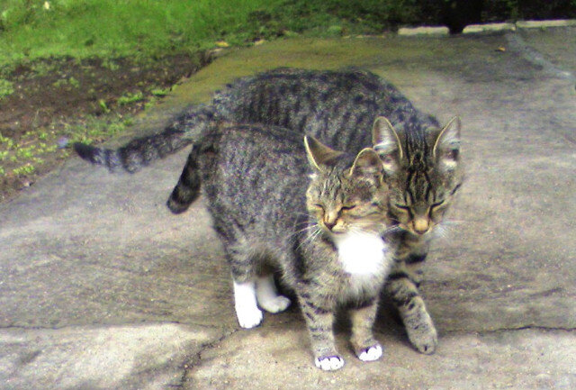 С мамой - Наталья 