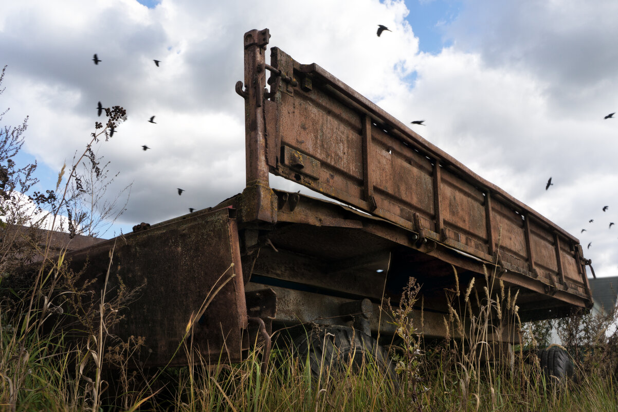 Бортануло - sorovey Sol