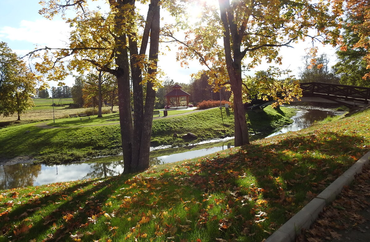 осень - ИННА ПОРОХОВА