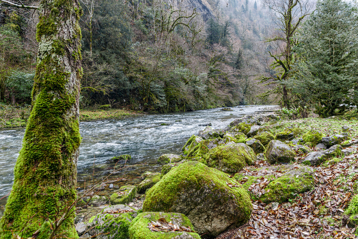 Подойти к берегу - Eugene *