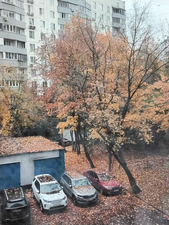 Осень пришла в Москву - Дмитрий Никитин