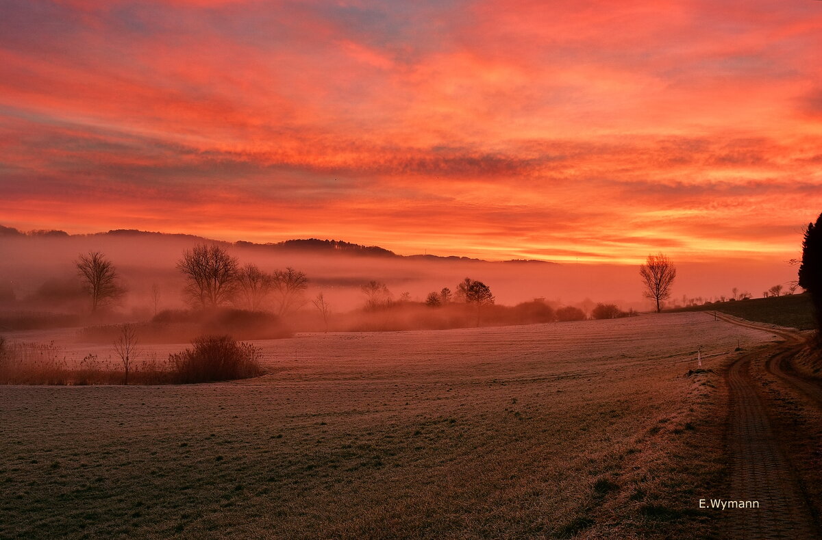 winter sunrise - Elena Wymann