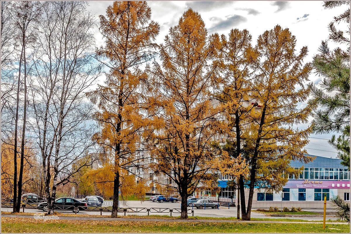 Просто осень... - Aquarius - Сергей