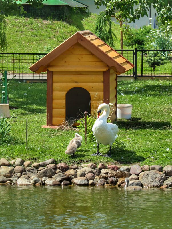 В Толгском женском монастыре - Irene Irene