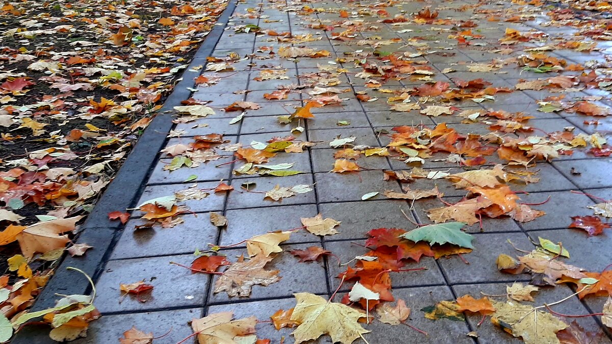 Листопад - Наталья Герасимова