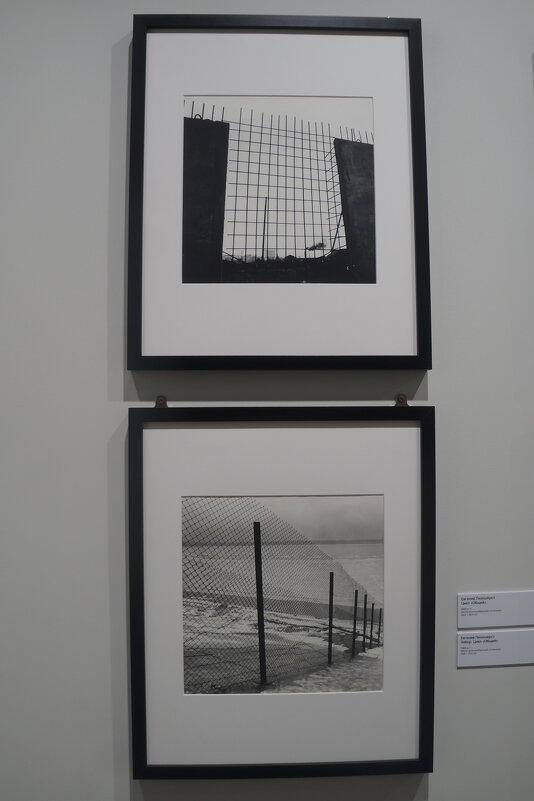 Евгений Лихошерст / цикл "Общий" / 1980-е гг. - zavitok *