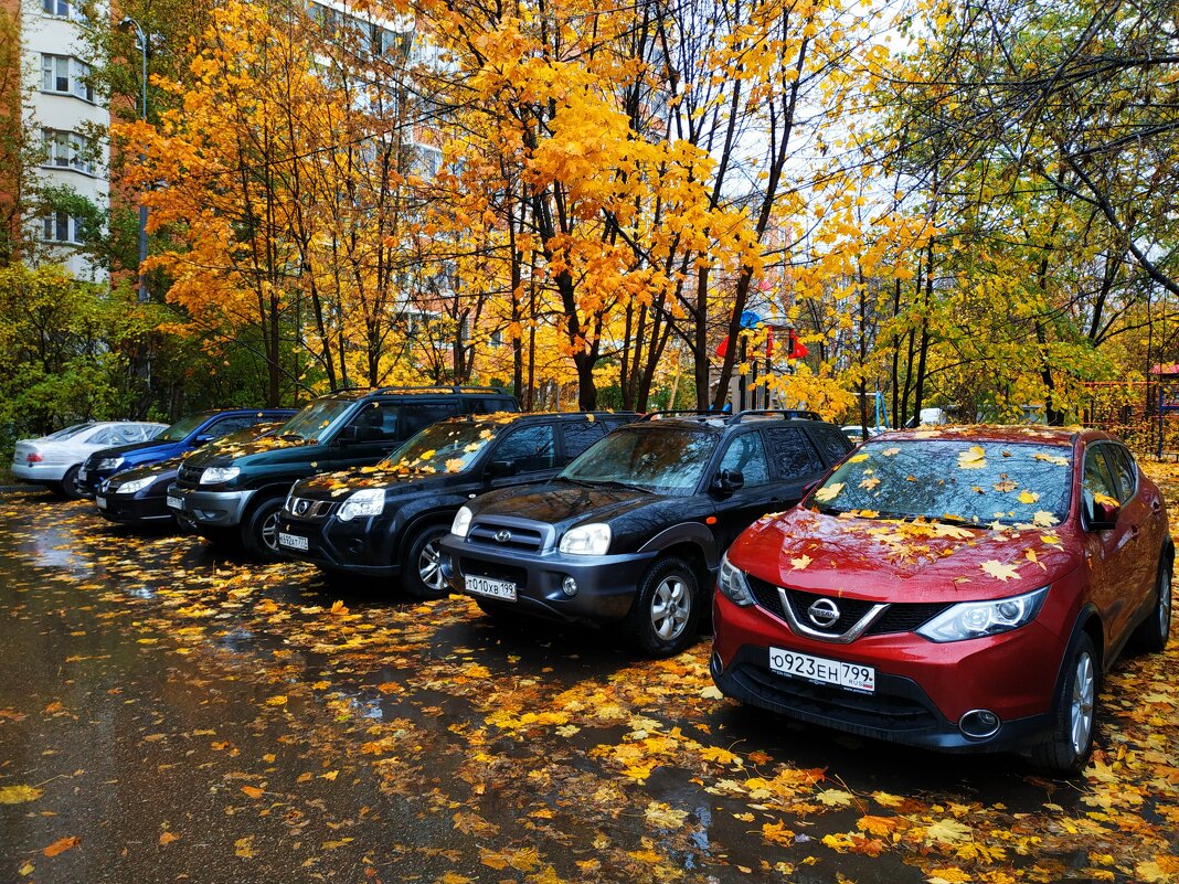 Закрытие велосезона (завтра - операция по удалению пластины из руки) - Андрей Лукьянов
